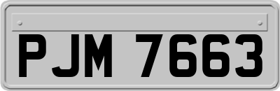 PJM7663
