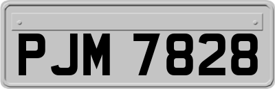 PJM7828