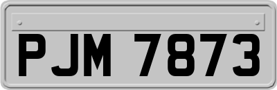 PJM7873
