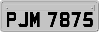 PJM7875