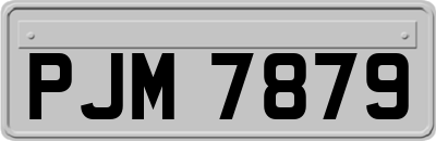 PJM7879