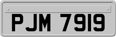 PJM7919