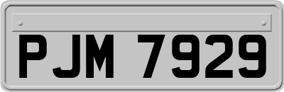 PJM7929