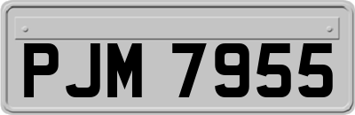 PJM7955