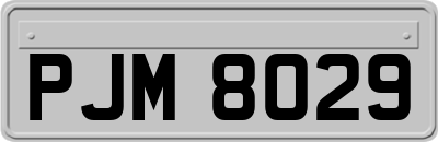 PJM8029