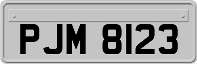 PJM8123