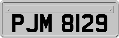 PJM8129
