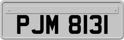 PJM8131