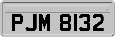 PJM8132