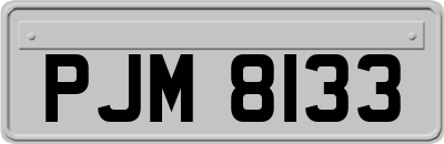 PJM8133