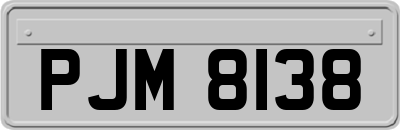 PJM8138