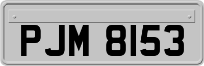 PJM8153