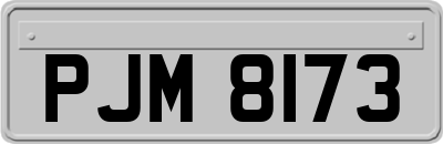 PJM8173