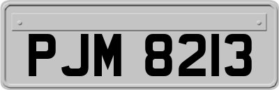 PJM8213