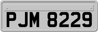 PJM8229