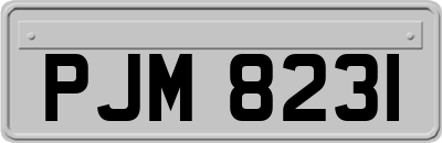 PJM8231