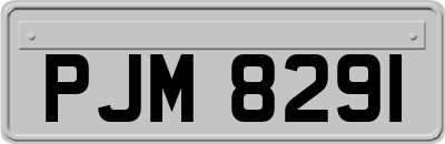 PJM8291