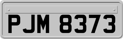 PJM8373