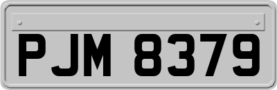 PJM8379