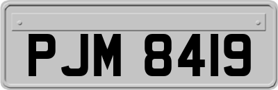 PJM8419