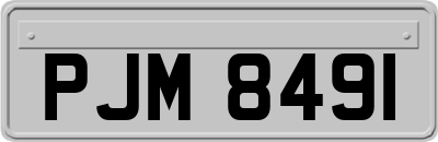 PJM8491