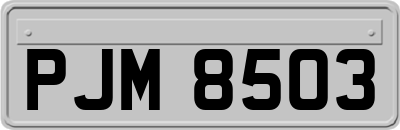 PJM8503