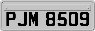 PJM8509
