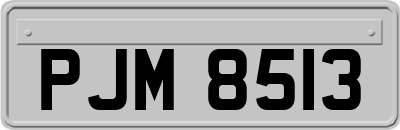 PJM8513