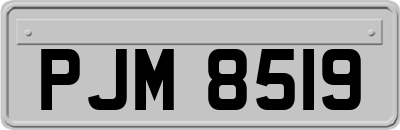 PJM8519