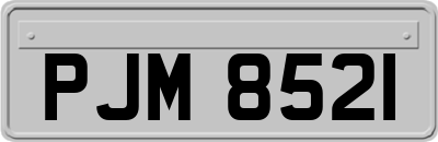 PJM8521