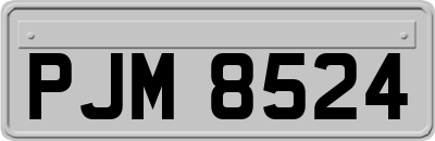 PJM8524