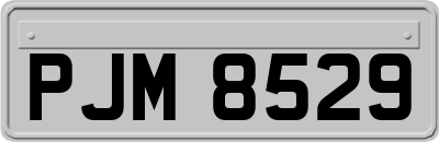 PJM8529