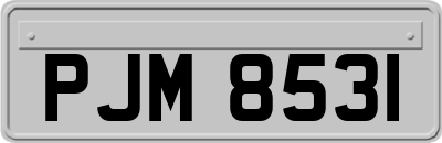 PJM8531