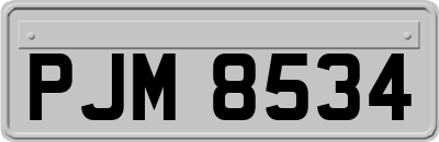 PJM8534