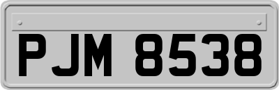 PJM8538
