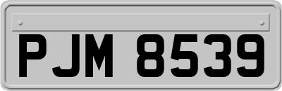 PJM8539