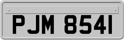 PJM8541