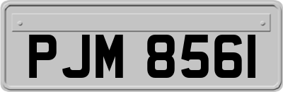 PJM8561