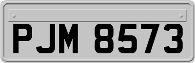 PJM8573