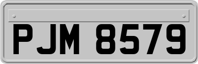 PJM8579