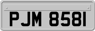 PJM8581