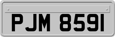 PJM8591