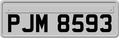 PJM8593