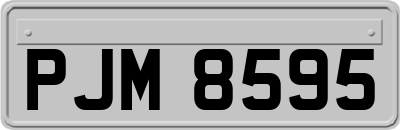 PJM8595