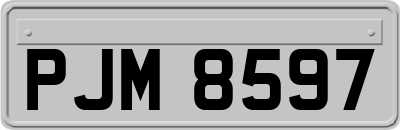 PJM8597