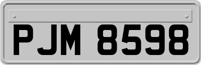 PJM8598