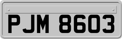 PJM8603