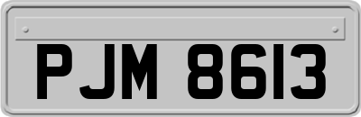 PJM8613