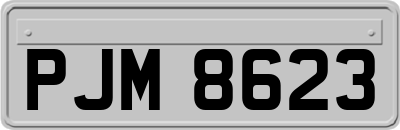 PJM8623