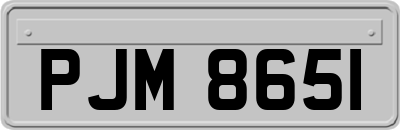 PJM8651